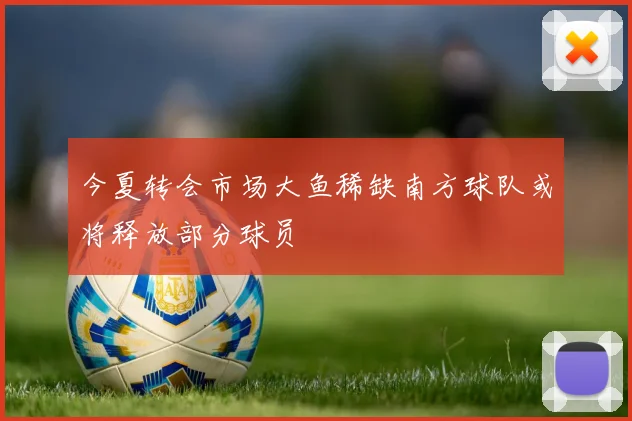 今夏转会市场大鱼稀缺南方球队或将释放部分球员